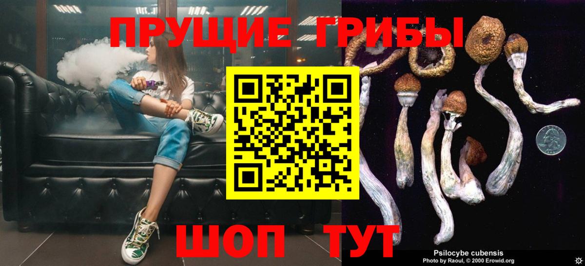 Псилоцибиновые грибы GOLDEN TEACHER  Галлюциногенные грибы Psilocybe  Вход с VPN  Богородск 