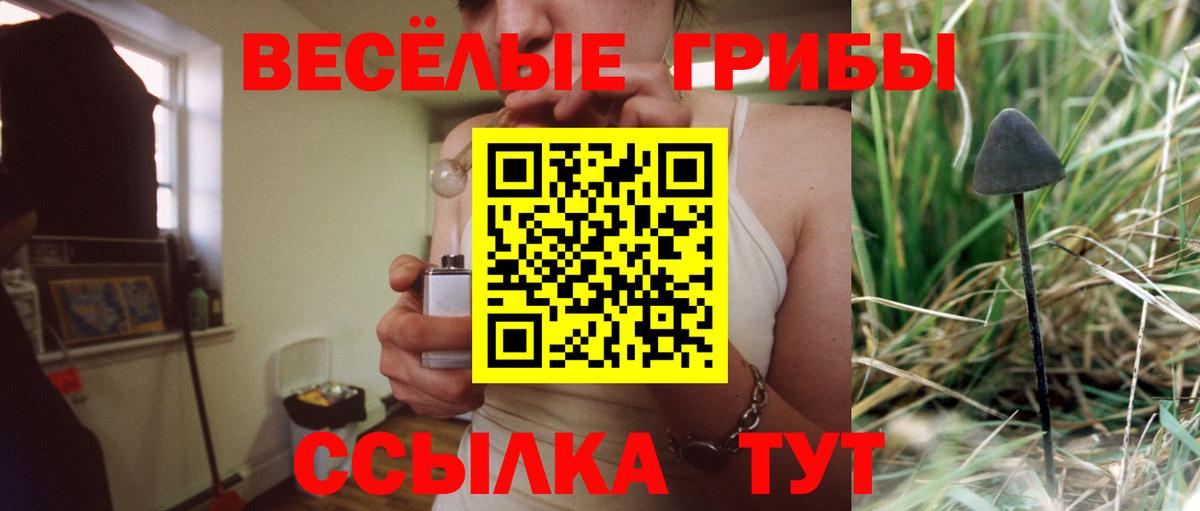 Псилоцибиновые грибы мухоморы Богородск